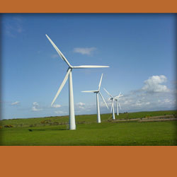 line of wind turbines in a green field against blue sky